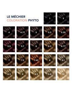 Phyto Coloration kit 2